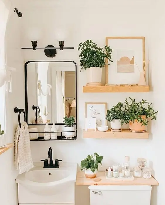 potted plants in bathroom