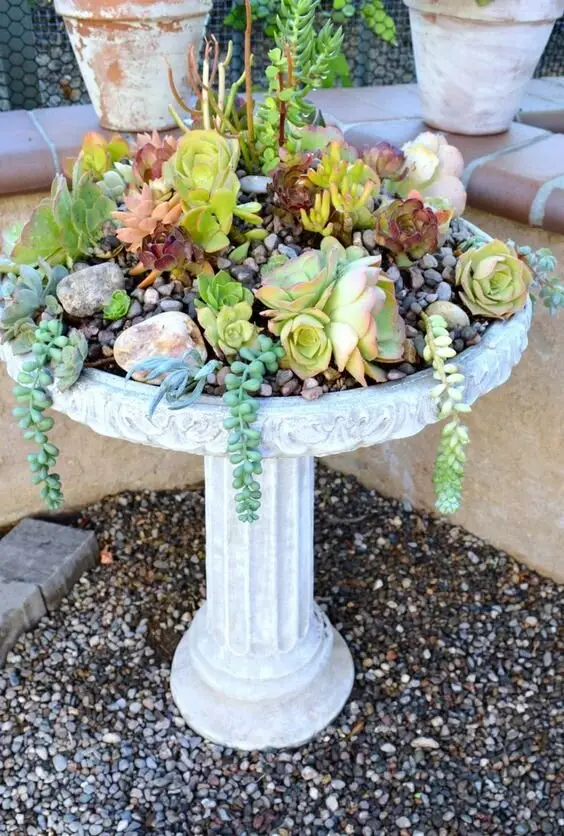 birdbath garden planter