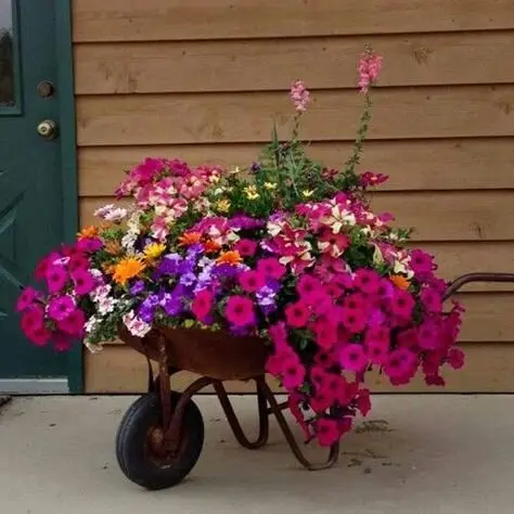 wheelbarrow garden planter
