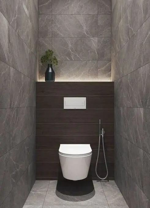 modern toilet