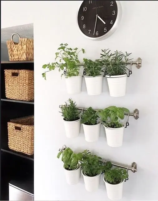 A Herb Garden farmhouse kitchen: A wall-mounted herb garden in jars, tins or small pots. Basil, parsley and mint will grow