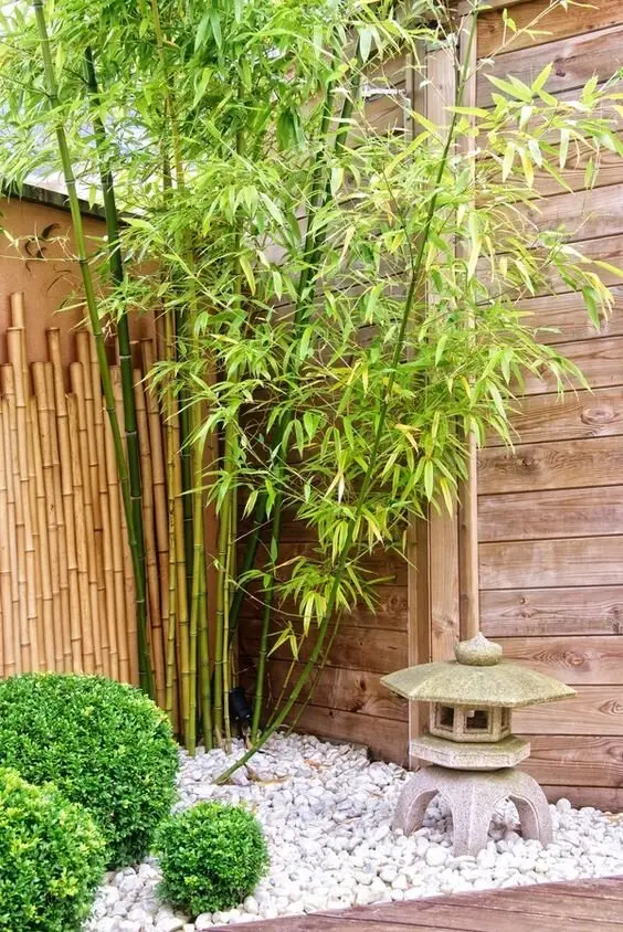 japanese garden