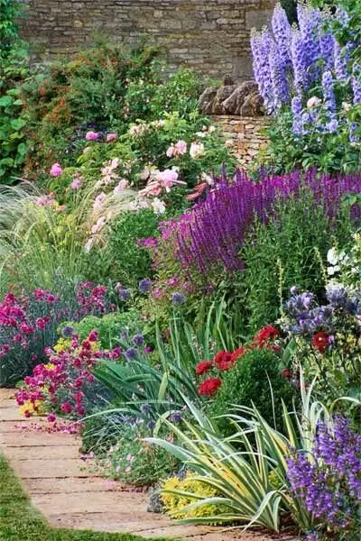 perennial garden