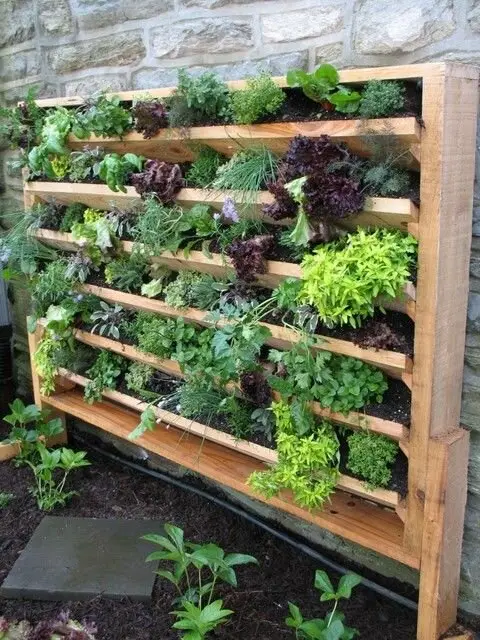 vertical garden