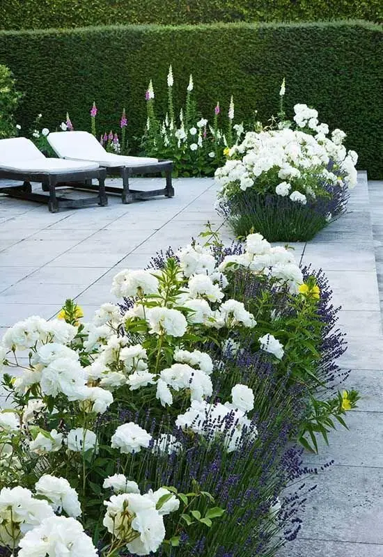 modern backyard landscaping