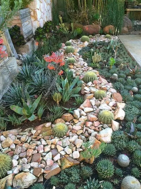 succulent garden