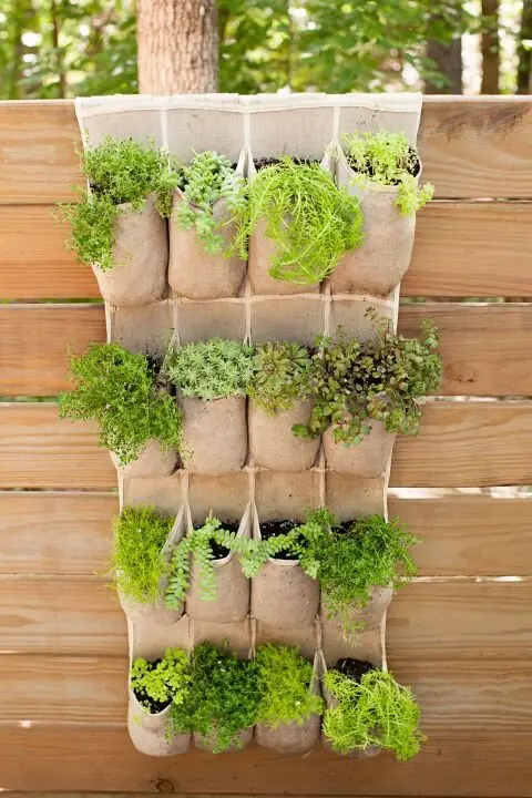 small herb garden
