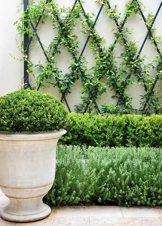 fence trellis