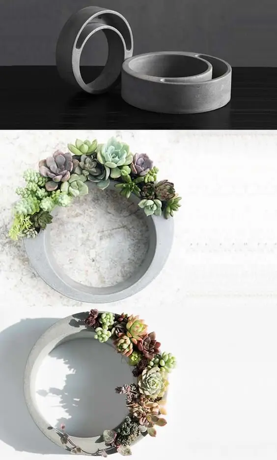 succulent planter
