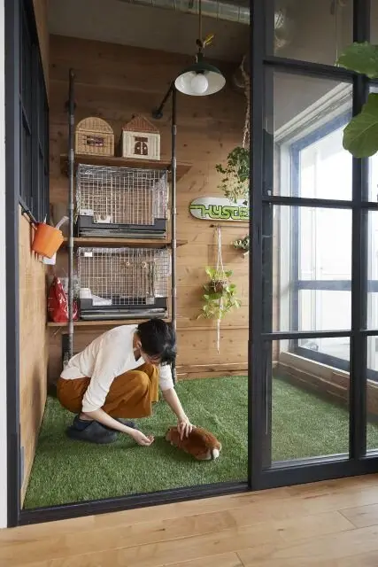 Pet idea