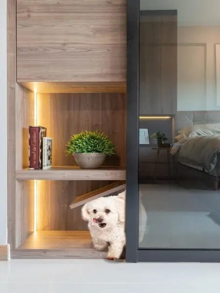 Pet idea