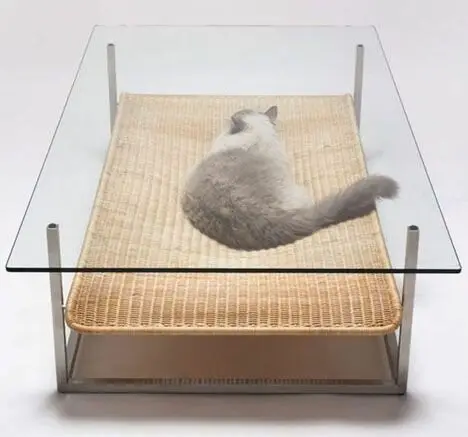 Pet idea