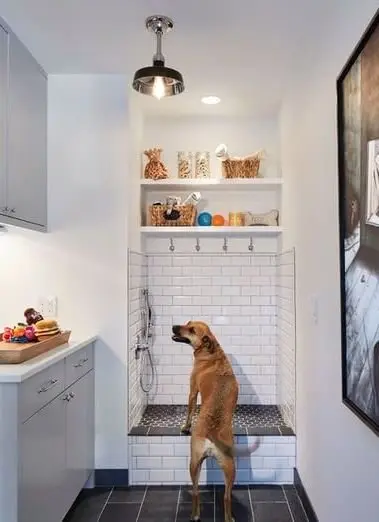 Pet idea