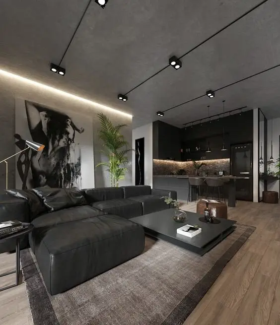 Shades of Grey industrial living room: This is a modern and minimalist living room with traces of industrial aesthetics